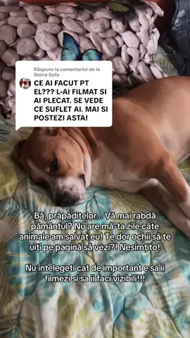 Ca răspuns pentru @Doina Sofa 