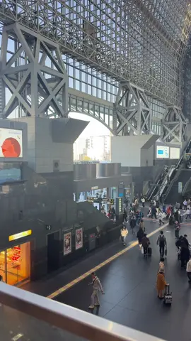 Nếu không phải lo cơm áo gạo tiền thì ước mơ của bạn là gì? #kyoto 