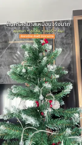 ต้นคริสต์มาสสูง 2 เมตร #ต้นคริสต์มาส #วันคริสต์มาส #คริสต์มาส2025 