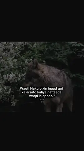 #fyb #viraltiktok #writer 