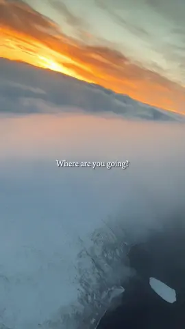 Hello Winter ❄️❄️❄️⛄️ 🇳🇴#Tromso #ลิณธิภรณ์วริณวัชรโรจน์ 