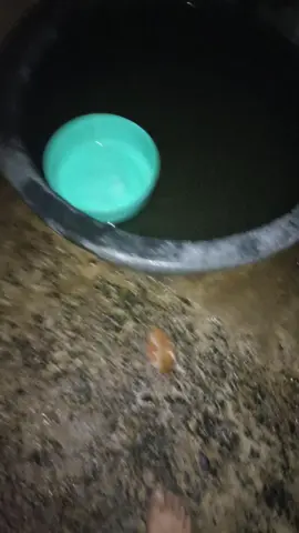 บ่อาบน้ำอีกแล้ว