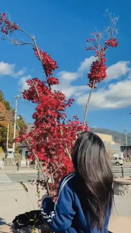 #မဆိုင်သူတွေလိုနေမယ်💔 #trending #မင်းတို့ပေးမှ❤ရမဲ့သူပါကွာ #မြင်ပါများပီးချစ်ကျွမ်းဝင်အောင်လို့🤒🖤 #