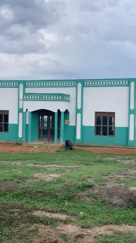 😂😂😂😂 #foryou #fyp 