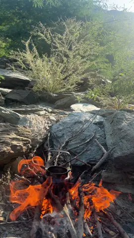 #اكسبلور #شاهي 