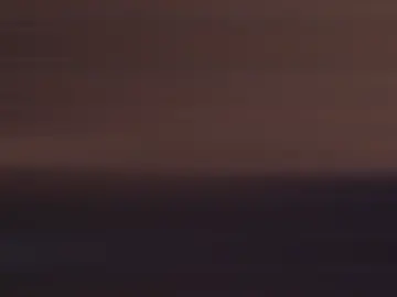 A beez in trap bee-beez in trap#CapCut #fypシ゚viral #fyp #Wendywaldah2