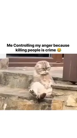 🤷🏻‍♀️🙌🏻 #anger #MoodSwings #foryourpage #fyppppppppppppppppppppppp #fyppppppppppppppppppppppp 