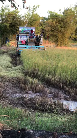 #ไทยเจริญการช่าง #วัยรุ่นอยุธยา #เข้ไล่ #อย่าจื๋อ 