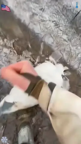 The joy of winter ice #satisfying #asmr #ice #fyp #oddlysatisfying