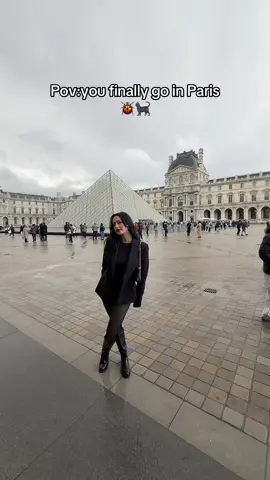 #miraculous #paris 🐞🐈‍⬛