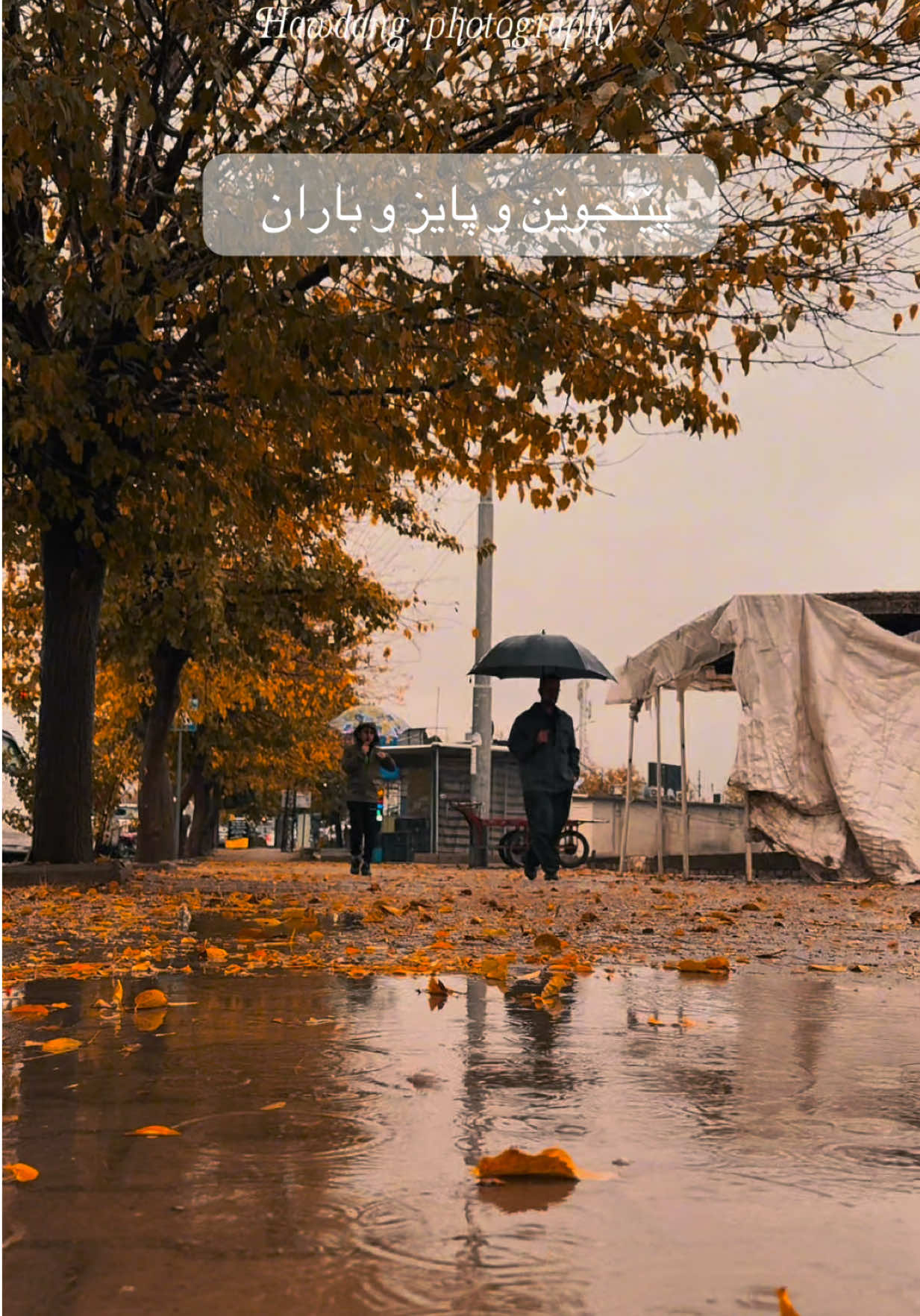 ئەگەر هاتن بۆ پێنجوێن پایزان وەرن و بە پێنجوێنیەکانیش بڵێن بمانبەن بۆ ئەم شوێنانە لە ناو بازاڕەکەیا مەمانسوڕێننەوە 😂.   زستانانیش وەرن قەیناکە 😂 #پاییز🍂🍁 #paiz #penjwen #slemani #autumn 