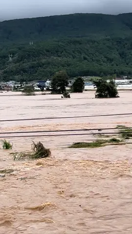 Chỗ mọi người ổn không ạ 🥺 Đơn Dương#49lamdong 