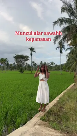 #fyppppppppppppppppppppppp #hanyakonten #kontenhiburan #fypシ゚ #viral @Agata Lubis 