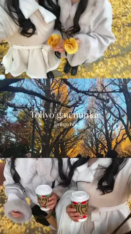 黄色の絨毯  #イチョウ並木 #外苑前 #紅葉フォト #fyp 