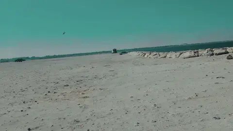 #يوميات_عبدالمنعم_الاصبحي_كلاده_العظمي #لا_اله_الا_انت_سبحانك_اني_كنتو_من_الظالمين #يافع_كلد_كلاده_العظمى 