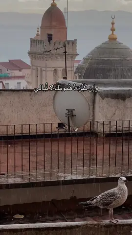 #fyp #pourtoii #rain #خواطر #explorepage 