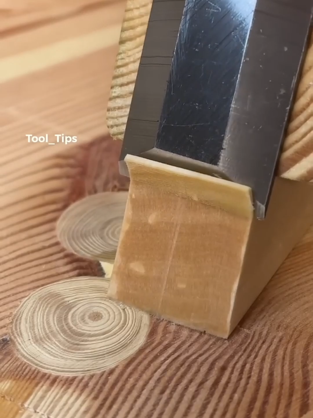 Người bạn chí cốt ở cô nhi viện