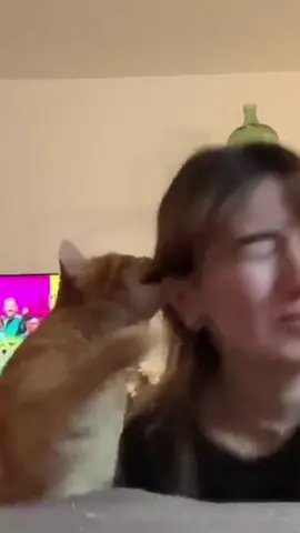 J’ai mal la vérité - twitch : Salistoire 