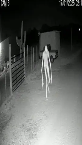 The last video 😱 #scary #skinwalker #fyp #cctv #scaryvideo 