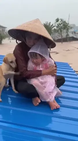 Ngập hết rồi. Thương lắm miền trung ơi#mientrung #mientrungquetoi #mientrunglulut 