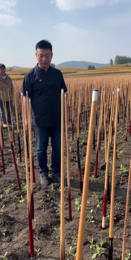 Hay mình về quê nuôi cá trồng cơ #biliard #bida #xuhuongtiktok 