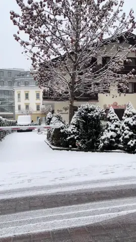 شتاء النمسا🇦🇹❄️##ترند #الشتاء_البرد_اجواء_شتويه #انتشار_سريع_اكسبلووور⚡️ #زيلامسي_النمسا🇦🇹 #انتشار_سريع 