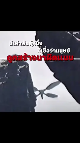 boom boom☝️🤓#Qu #TheQu #The Qu#fyp #foryou 