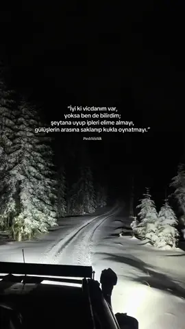 #paslısözlük #söz #sözler #manzara #kış 