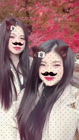 Tiktok như… #flop #광주광역시 @Nguyen Ngoc Hen🇻🇳🇰🇷 