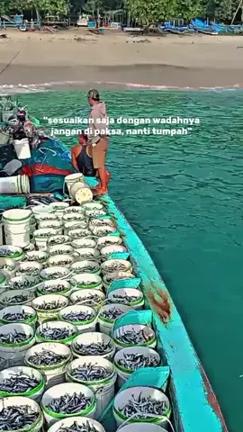 #nelayanwatuulo #nelaynnnjemberselattan #km.merpati