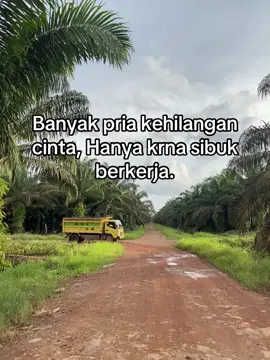 #cinta #truksawitkalimantan #fyp #kalimantan #galaubrutal 
