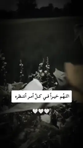 #عبارات #فخمة #للعقول_الراقية_فقط🤚🏻💙 #foryoupage #fyp 