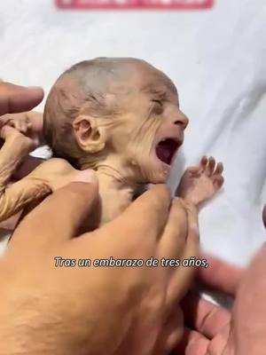 Haga clic en el enlace de abajo para ver más videos.