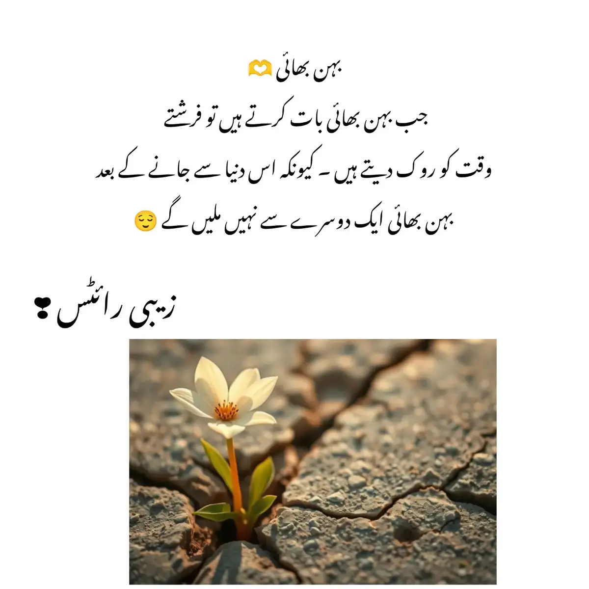 بہن بھائی ۔ 🫶 جب بہن بھائی بات کرتے ہیں تو فرشتے وقت کو روک دیتے ہیں ۔ کیونکہ اس دنیا سے جانے کے بعد بہن بھائی ایک دوسرے سے نہیں ملیں گے 😌#😭🥹tiktokviralvedio  #zabiwrites023❤️🥰 #foryoupage😭🥹 #viralvedio😭😭💔💯 #repostvideo❤ 