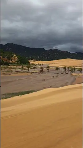 Sa Mạc Cát Sơn Hải Mũi Dinh mùa mưa bão