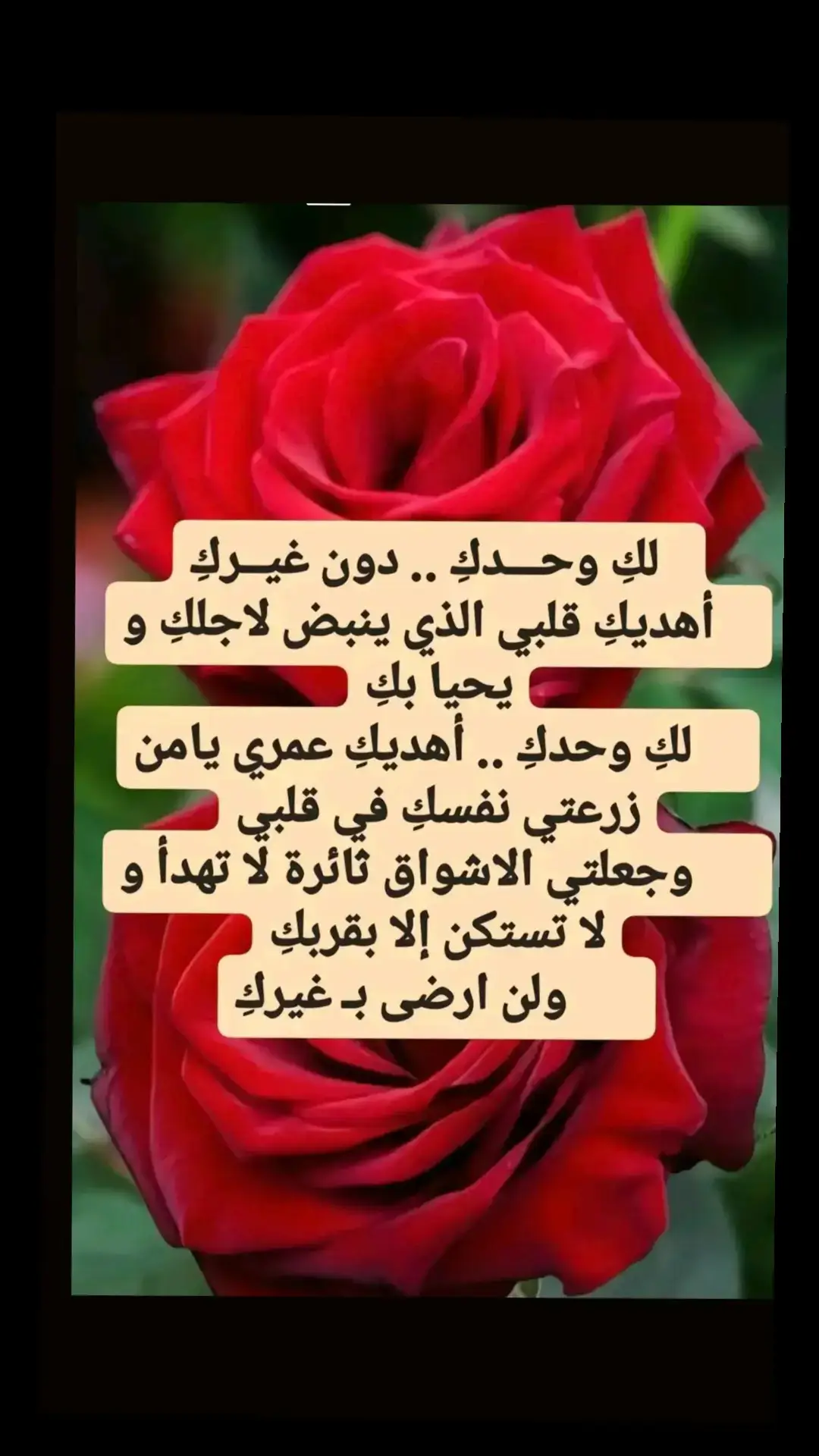 #عزيز_الروح #من_القلب_إلى_القلب❤ #كلام_جميل_جدا #عبارات_جميلة🦋💙 #حين_تزرع_السعادة_في_قلب_إنسان🥀🌷🌹🤲🏻💞 