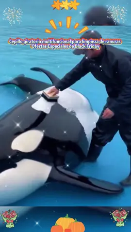 Oferta de Black Friday! Cepillo de limpieza de grietas giratorio multifunción, limpieza de 360° sin esquinas para baño y cocina! #BlackFriday #HerramientaDeLimpieza #CepilloDeGrietas #LimpiezaDeCocina #LimpiezaDeBaño 