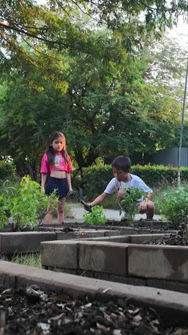 จัดใหญ่ จัดเต็ม กับการซ่อนกล้อง ติดตามดูเด็กๆ มีก้า มีญ่า ว่าจะสามารถผ่านภารกิจของแดดดี๊และหม่ามี๊ได้หรือไม่ ไปเอาใจช่วยกันครับพี่ๆ ✨📷💖 #เทรนด์วันนี้ #ป๊อกกี้ontherunseason #mindsettv #ป๊อกกี้ #ทำสวน 