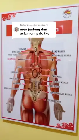 Membalas @sasrizal5 totok punggung bisa mengatasi persoalan jantung lambung Dll #jantung#pembengkakanjantung #plongkramatjati #totokpunggung #terapitotokpunggung 