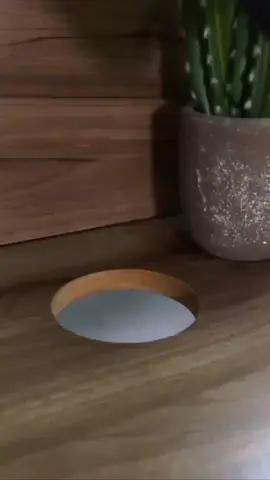 Tomada de mesa com elevação + USB/Tipo-C! Deixa tudo mais prático, moderno e carregando rápido. Essencial no escritório! Link nos comentários! #AchadinhoTech #TomadaDeMesa #CarregadorRapido #EscritorioModerno #ViralDaShopee