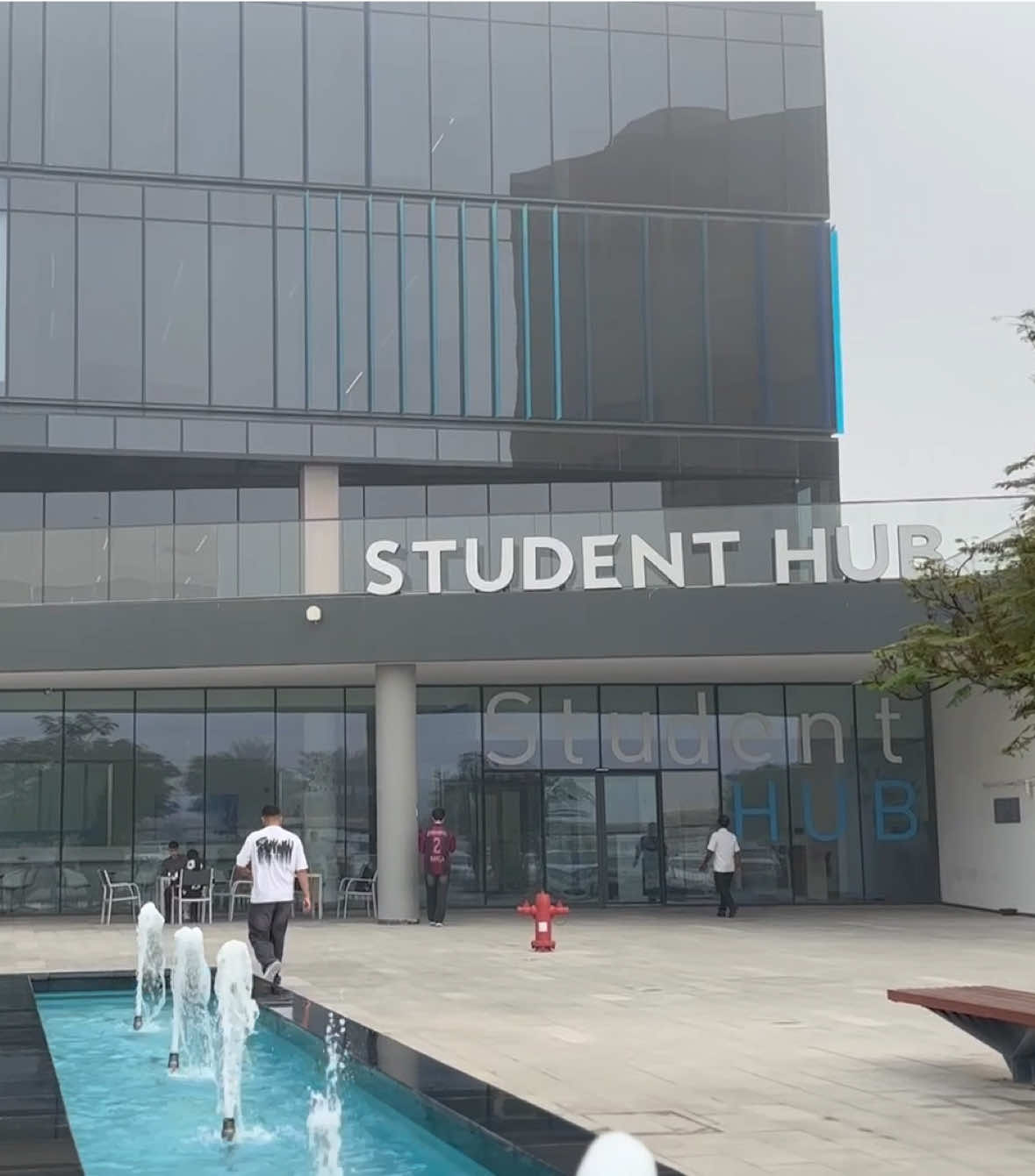 Today’s fog at Ajman University                  #fyp #mediaawyy #foggy #ajmanuniversity #جامعة_عجمان 