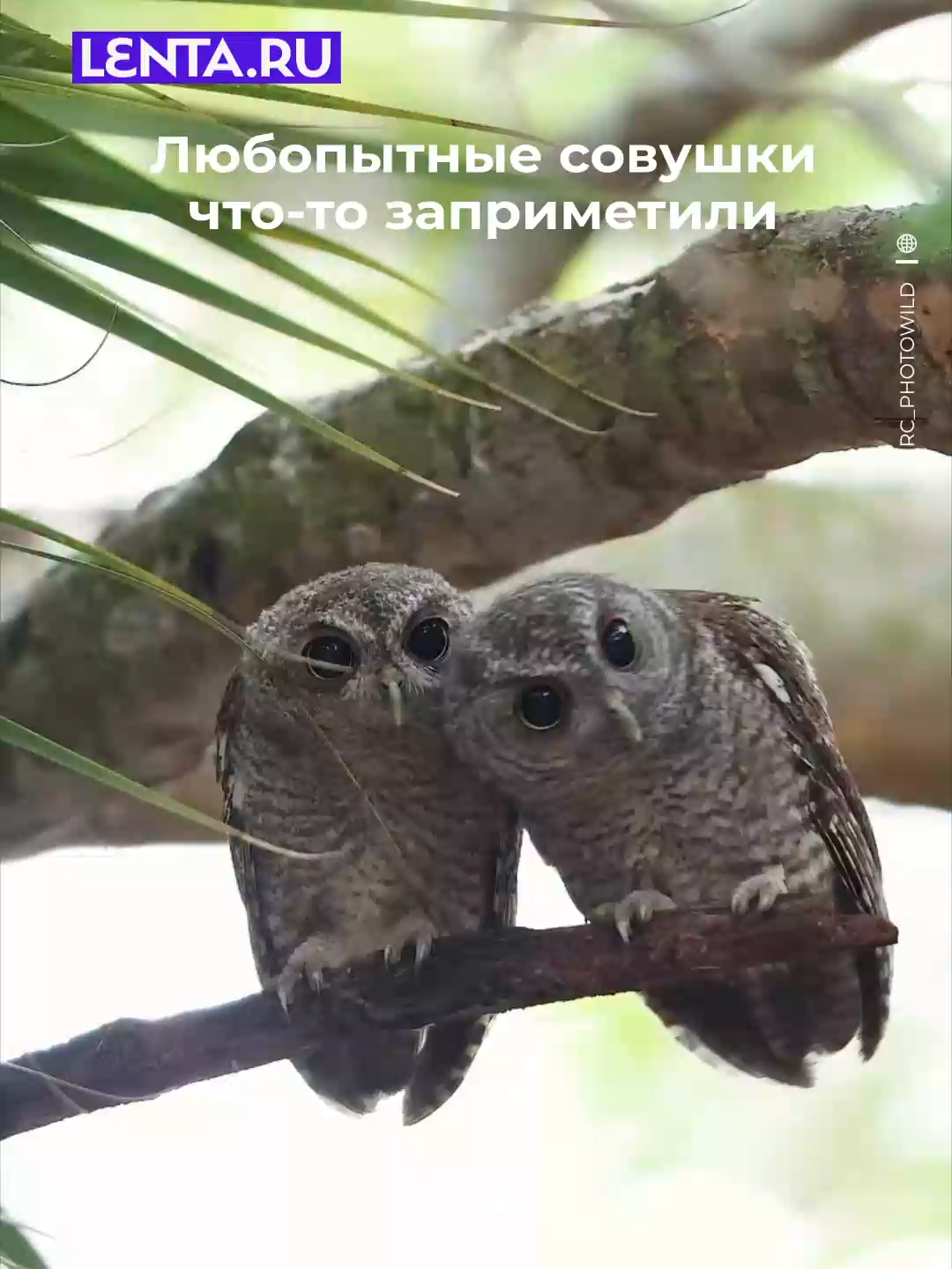 Что же там такое интересное?😍