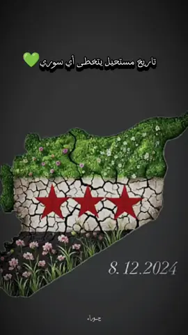 #CapCut #ذكرى_تحرير_سوريا_8_12_2024💚  #سوريا_حرة_ابيه💚✌🏻🤍 