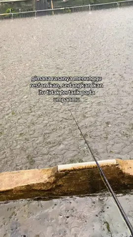 #galatamalele#mancingmania 