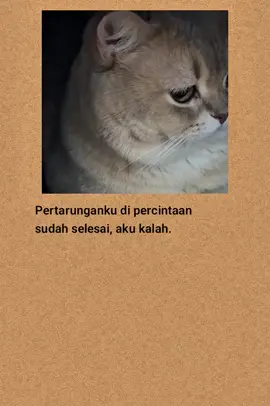 #katakatasedih #katakatabijak #fyp #viral #laguindia 