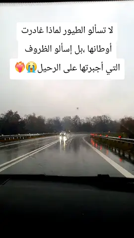 #الرحيم #الشعب_الصيني_ماله_حل😂😂 #الجميع 