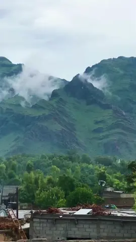 #cheick #mouallim_soukouna 