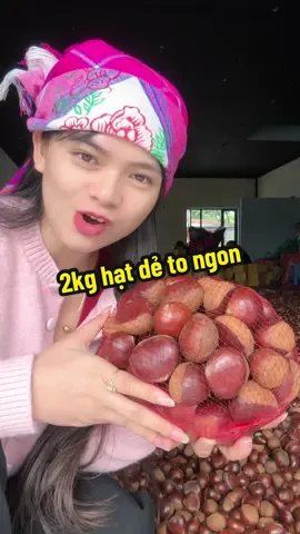 2kg hạt dẻ to ngon đang sale nè #tieuboilaocai #hatdekhonglo #hatde #xuhuongtiktok 