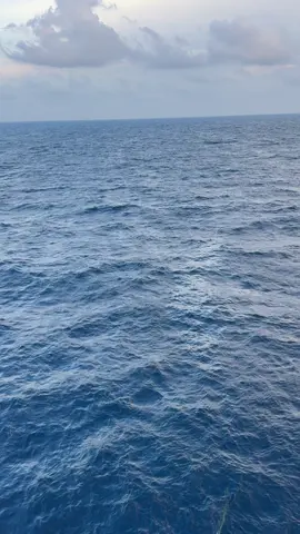 ว่าไงคนเก่ง #offshorelife #skyandsea #offshorevibes 