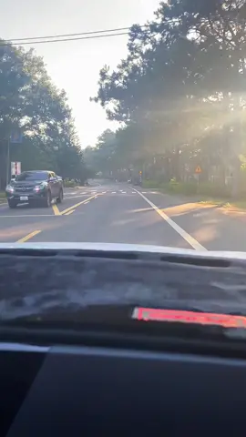 📍Măng Đen 📷🤍  Đi giữa khung cảnh này với cái bầu không khí se lạnh…mở thêm bài nhạc tết nữa là cảm xúc luôn cả nhà ơi!! 🥶🌸🌸 #travel #mangden #kontum #enjoylife  #langthangdaydo 